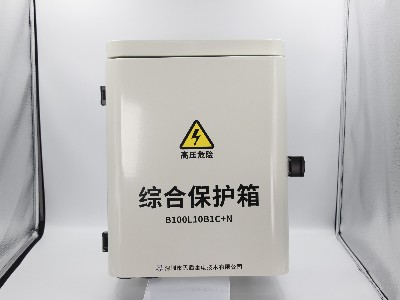 B100L63B1+N综合保护箱