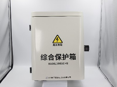 B100L63B1+N综合防雷保护箱